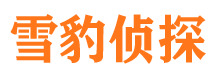 南岗市私家侦探